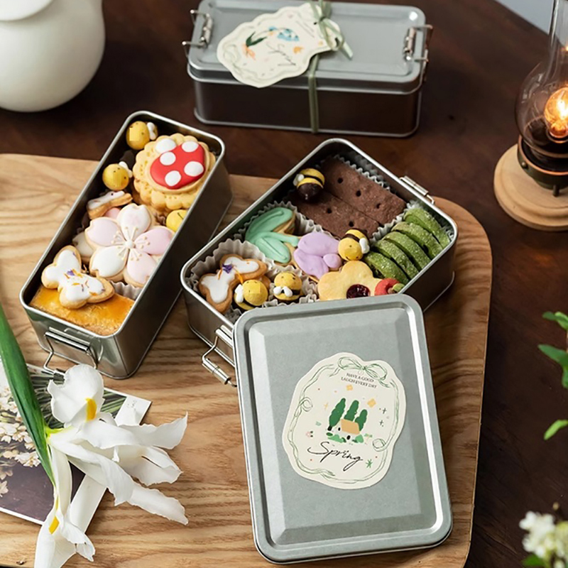Rectangular Tinplate Cookie Ti - Tin Container Lid ulasan dan harga
